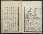 A Diary of Travel from Edo to Nagasaki (Seiyūryōdan), Shiba Kōkan (Japanese, 1747–1818), Five volumes of woodblock printed books; ink on paper, Japan