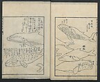 A Diary of Travel from Edo to Nagasaki (Seiyūryōdan), Shiba Kōkan (Japanese, 1747–1818), Five volumes of woodblock printed books; ink on paper, Japan