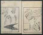 A Diary of Travel from Edo to Nagasaki (Seiyūryōdan), Shiba Kōkan (Japanese, 1747–1818), Five volumes of woodblock printed books; ink on paper, Japan