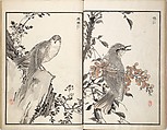 Bairei Picture Album of One Hundred Birds (Bairei hyakuchō gafu) 楳嶺百鳥畫譜, Kōno Bairei (Japanese, 1844–1895), Set of three woodblock printed books; ink and color on paper, Japan