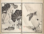 Bairei Picture Album of One Hundred Birds (Bairei hyakuchō gafu) 楳嶺百鳥畫譜, Kōno Bairei (Japanese, 1844–1895), Set of three woodblock printed books; ink and color on paper, Japan