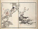 Bairei Picture Album of One Hundred Birds (Bairei hyakuchō gafu) 楳嶺百鳥畫譜, Kōno Bairei (Japanese, 1844–1895), Set of three woodblock printed books; ink and color on paper, Japan