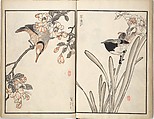 Bairei Picture Album of One Hundred Birds (Bairei hyakuchō gafu) 楳嶺百鳥畫譜, Kōno Bairei (Japanese, 1844–1895), Set of three woodblock printed books; ink and color on paper, Japan