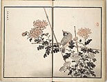 Bairei Picture Album of One Hundred Birds (Bairei hyakuchō gafu) 楳嶺百鳥畫譜, Kōno Bairei (Japanese, 1844–1895), Set of three woodblock printed books; ink and color on paper, Japan