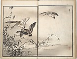 Bairei Picture Album of One Hundred Birds (Bairei hyakuchō gafu) 楳嶺百鳥畫譜, Kōno Bairei (Japanese, 1844–1895), Set of three woodblock printed books; ink and color on paper, Japan