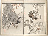 Bairei Picture Album of One Hundred Birds (Bairei hyakuchō gafu) 楳嶺百鳥畫譜, Kōno Bairei (Japanese, 1844–1895), Set of three woodblock printed books; ink and color on paper, Japan
