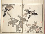 Bairei Picture Album of One Hundred Birds (Bairei hyakuchō gafu) 楳嶺百鳥畫譜, Kōno Bairei (Japanese, 1844–1895), Set of three woodblock printed books; ink and color on paper, Japan