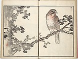 Bairei Picture Album of One Hundred Birds (Bairei hyakuchō gafu) 楳嶺百鳥畫譜, Kōno Bairei (Japanese, 1844–1895), Set of three woodblock printed books; ink and color on paper, Japan
