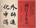 Bairei Picture Album of One Hundred Birds (Bairei hyakuchō gafu) 楳嶺百鳥畫譜, Kōno Bairei (Japanese, 1844–1895), Set of three woodblock printed books; ink and color on paper, Japan