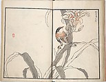 Bairei Picture Album of One Hundred Birds (Bairei hyakuchō gafu) 楳嶺百鳥畫譜, Kōno Bairei (Japanese, 1844–1895), Set of three woodblock printed books; ink and color on paper, Japan