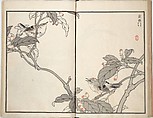 Bairei Picture Album of One Hundred Birds (Bairei hyakuchō gafu) 楳嶺百鳥畫譜, Kōno Bairei (Japanese, 1844–1895), Set of three woodblock printed books; ink and color on paper, Japan