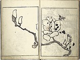 Bunpō Picture Album (Bunpō gafu) 文鳳画譜, First Series, Kawamura Bunpō 河村文鳳 (Japanese, 1779–1821), Set of three woodblock printed books; ink and color on paper, Japan