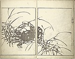 Bunpō Picture Album (Bunpō gafu) 文鳳画譜, First Series, Kawamura Bunpō 河村文鳳 (Japanese, 1779–1821), Set of three woodblock printed books; ink and color on paper, Japan