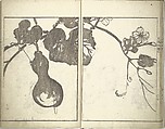 Bunpō Picture Album (Bunpō gafu) 文鳳画譜, First Series, Kawamura Bunpō 河村文鳳 (Japanese, 1779–1821), Set of three woodblock printed books; ink and color on paper, Japan