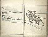 Bunpō Picture Album (Bunpō gafu) 文鳳画譜, First Series, Kawamura Bunpō 河村文鳳 (Japanese, 1779–1821), Set of three woodblock printed books; ink and color on paper, Japan