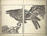 Bunpō Picture Album (Bunpō gafu) 文鳳画譜, First Series, Kawamura Bunpō 河村文鳳 (Japanese, 1779–1821), Set of three woodblock printed books; ink and color on paper, Japan