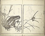 Bunpō Picture Album (Bunpō gafu) 文鳳画譜, First Series, Kawamura Bunpō 河村文鳳 (Japanese, 1779–1821), Set of three woodblock printed books; ink and color on paper, Japan