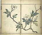 Kinpaen (Bunpō) Picture Album (Kinpaen gafu) 金波園画譜, Kawamura Bunpō 河村文鳳 (Japanese, 1779–1821), Woodblock printed book; ink and color on paper, Japan