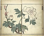 Kinpaen (Bunpō) Picture Album (Kinpaen gafu) 金波園画譜, Kawamura Bunpō 河村文鳳 (Japanese, 1779–1821), Woodblock printed book; ink and color on paper, Japan