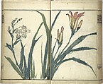 Kinpaen (Bunpō) Picture Album (Kinpaen gafu) 金波園画譜, Kawamura Bunpō 河村文鳳 (Japanese, 1779–1821), Woodblock printed book; ink and color on paper, Japan