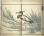 Kinpaen (Bunpō) Picture Album (Kinpaen gafu) 金波園画譜, Kawamura Bunpō 河村文鳳 (Japanese, 1779–1821), Woodblock printed book; ink and color on paper, Japan