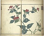 Kinpaen (Bunpō) Picture Album (Kinpaen gafu) 金波園画譜, Kawamura Bunpō 河村文鳳 (Japanese, 1779–1821), Woodblock printed book; ink and color on paper, Japan