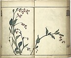 Kinpaen (Bunpō) Picture Album (Kinpaen gafu) 金波園画譜, Kawamura Bunpō 河村文鳳 (Japanese, 1779–1821), Woodblock printed book; ink and color on paper, Japan