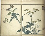 Kinpaen (Bunpō) Picture Album (Kinpaen gafu) 金波園画譜, Kawamura Bunpō 河村文鳳 (Japanese, 1779–1821), Woodblock printed book; ink and color on paper, Japan