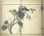 Kinpaen (Bunpō) Picture Album (Kinpaen gafu) 金波園画譜, Kawamura Bunpō 河村文鳳 (Japanese, 1779–1821), Woodblock printed book; ink and color on paper, Japan
