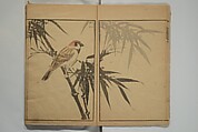 Kinpaen (Bunpō) Picture Album (Kinpaen gafu) 金波園画譜, Kawamura Bunpō 河村文鳳 (Japanese, 1779–1821), Woodblock printed book; ink and color on paper, Japan