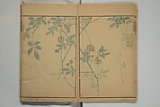 Kinpaen (Bunpō) Picture Album (Kinpaen gafu) 金波園画譜, Kawamura Bunpō 河村文鳳 (Japanese, 1779–1821), Woodblock printed book; ink and color on paper, Japan