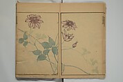 Kinpaen (Bunpō) Picture Album (Kinpaen gafu) 金波園画譜, Kawamura Bunpō 河村文鳳 (Japanese, 1779–1821), Woodblock printed book; ink and color on paper, Japan