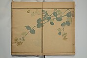Kinpaen (Bunpō) Picture Album (Kinpaen gafu) 金波園画譜, Kawamura Bunpō 河村文鳳 (Japanese, 1779–1821), Woodblock printed book; ink and color on paper, Japan