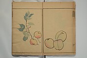Kinpaen (Bunpō) Picture Album (Kinpaen gafu) 金波園画譜, Kawamura Bunpō 河村文鳳 (Japanese, 1779–1821), Woodblock printed book; ink and color on paper, Japan
