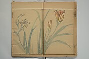 Kinpaen (Bunpō) Picture Album (Kinpaen gafu) 金波園画譜, Kawamura Bunpō 河村文鳳 (Japanese, 1779–1821), Woodblock printed book; ink and color on paper, Japan
