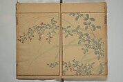 Kinpaen (Bunpō) Picture Album (Kinpaen gafu) 金波園画譜, Kawamura Bunpō 河村文鳳 (Japanese, 1779–1821), Woodblock printed book; ink and color on paper, Japan