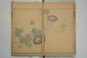 Kinpaen (Bunpō) Picture Album (Kinpaen gafu) 金波園画譜, Kawamura Bunpō 河村文鳳 (Japanese, 1779–1821), Woodblock printed book; ink and color on paper, Japan