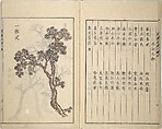 Guide to Chinese Painting, Second Series (Kanga shinan nihen), Illustrations by Kawamura Bunpō (Japanese, 1779–1821), Set of three woodblock printed books; ink and color on paper, Japan