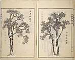 Guide to Chinese Painting, Second Series (Kanga shinan nihen), Illustrations by Kawamura Bunpō (Japanese, 1779–1821), Set of three woodblock printed books; ink and color on paper, Japan