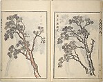Guide to Chinese Painting, Second Series (Kanga shinan nihen), Illustrations by Kawamura Bunpō (Japanese, 1779–1821), Set of three woodblock printed books; ink and color on paper, Japan