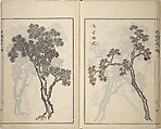 Guide to Chinese Painting, Second Series (Kanga shinan nihen), Illustrations by Kawamura Bunpō (Japanese, 1779–1821), Set of three woodblock printed books; ink and color on paper, Japan