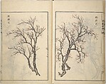 Guide to Chinese Painting, Second Series (Kanga shinan nihen), Illustrations by Kawamura Bunpō (Japanese, 1779–1821), Set of three woodblock printed books; ink and color on paper, Japan