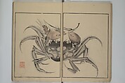 Shazanrō (Bunchō) Picture Book (Shazanrō ehon 寫山樓畫本), Tani Bunchō 谷文晁 (Japanese, 1763–1840), Woodblock-printed book; ink and color on paper, Japan