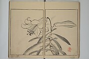 Shazanrō (Bunchō) Picture Book (Shazanrō ehon 寫山樓畫本), Tani Bunchō 谷文晁 (Japanese, 1763–1840), Woodblock-printed book; ink and color on paper, Japan