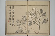 Shazanrō (Bunchō) Picture Book (Shazanrō ehon 寫山樓畫本), Tani Bunchō 谷文晁 (Japanese, 1763–1840), Woodblock-printed book; ink and color on paper, Japan