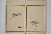 Shazanrō (Bunchō) Picture Book (Shazanrō ehon 寫山樓畫本), Tani Bunchō 谷文晁 (Japanese, 1763–1840), Woodblock-printed book; ink and color on paper, Japan
