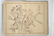 The Four Worthies (Plum, Bamboo, Orchid, Chrysanthemum) (Shikunshi) 竹洞四君子, Nakabayashi Chikutō 中林竹洞 (Japanese, 1776–1853), Set of two woodblock printed books bound as one; ink on paper, Japan