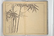 The Four Worthies (Plum, Bamboo, Orchid, Chrysanthemum) (Shikunshi) 竹洞四君子, Nakabayashi Chikutō 中林竹洞 (Japanese, 1776–1853), Set of two woodblock printed books bound as one; ink on paper, Japan