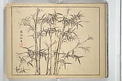 The Four Worthies (Plum, Bamboo, Orchid, Chrysanthemum) (Shikunshi) 竹洞四君子, Nakabayashi Chikutō 中林竹洞 (Japanese, 1776–1853), Set of two woodblock printed books bound as one; ink on paper, Japan