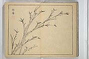 The Four Worthies (Plum, Bamboo, Orchid, Chrysanthemum) (Shikunshi) 竹洞四君子, Nakabayashi Chikutō 中林竹洞 (Japanese, 1776–1853), Set of two woodblock printed books bound as one; ink on paper, Japan